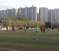 平博官网-绿茵豪门绿茵场